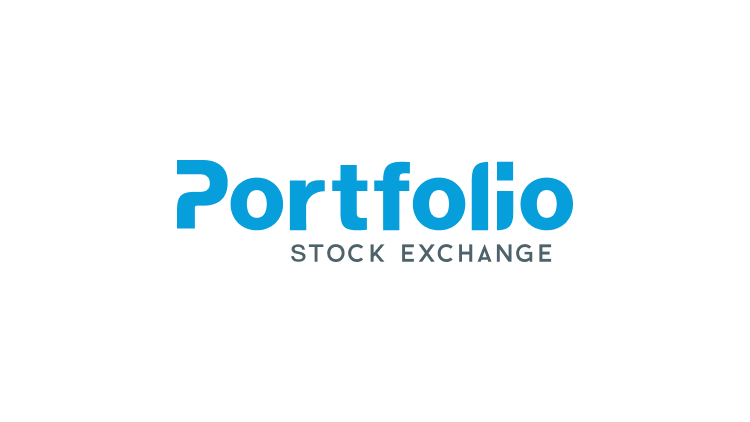 Portfolio explained in just 3 min